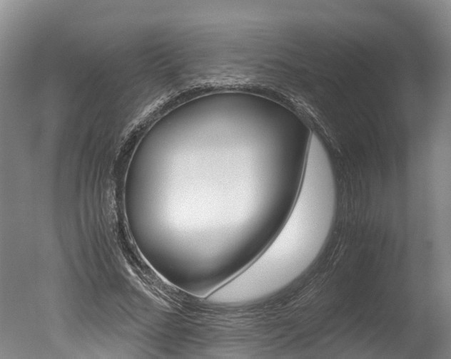 X0000051250684200506170842