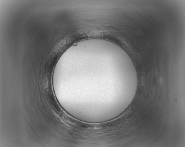 X0000051250687200506170842