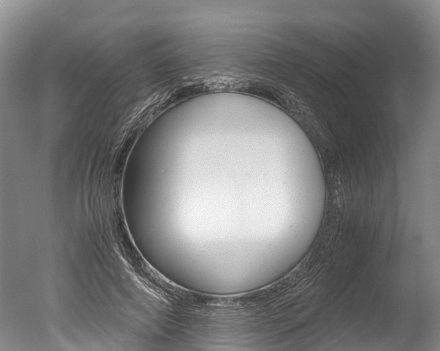 X0000051250690200506170842