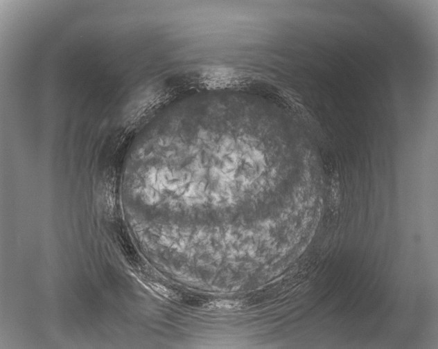 X0000051250691200506170842
