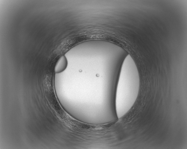 X0000051250695200506170842