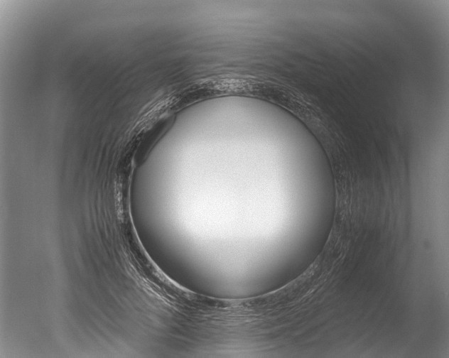 X0000051250696200506170842