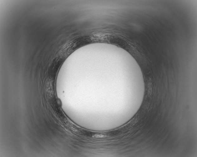 X0000051250699200506170842