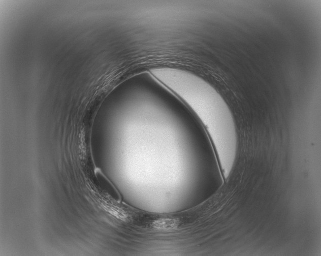 X0000051250700200506170842