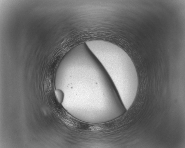 X0000051250703200506170842