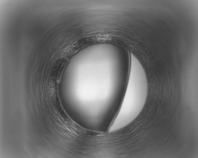 X0000051250704200506170842