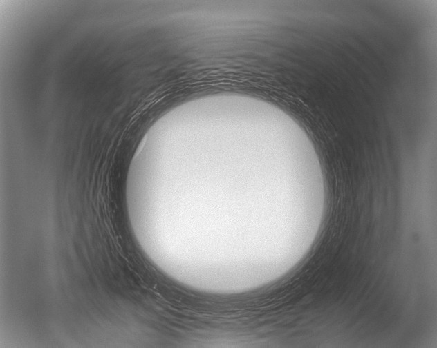 X0000051250705200506170842
