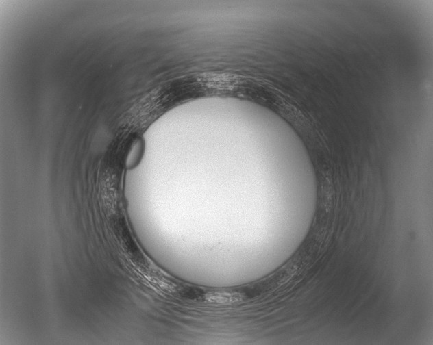 X0000051250707200506170842