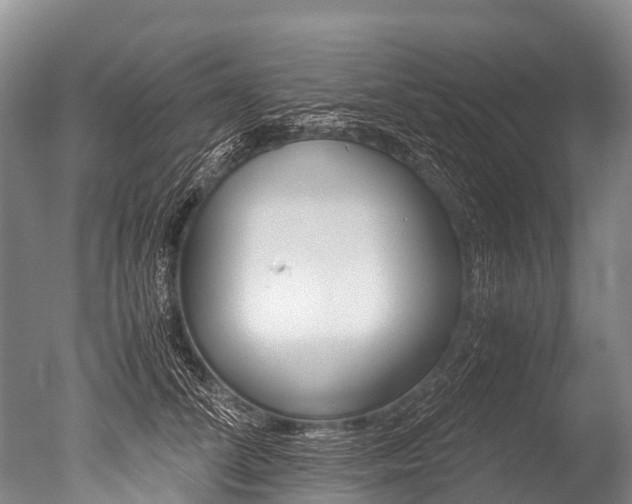 X0000051250708200506170842
