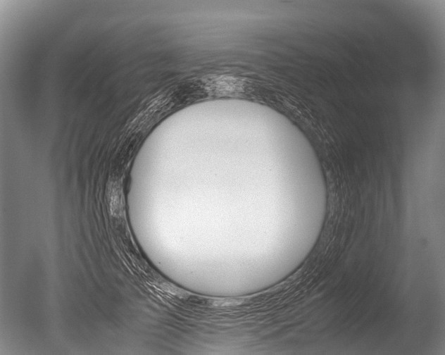X0000051250709200506170842