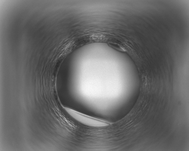 X0000051250712200506170842