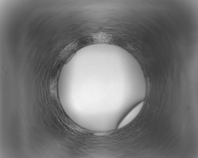 X0000051250713200506170842