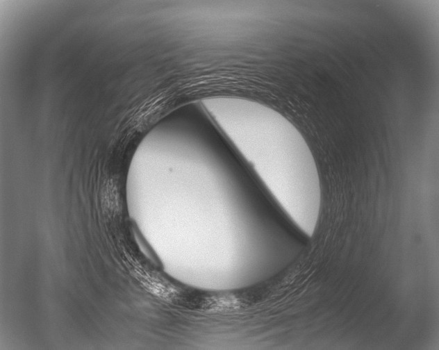 X0000051250715200506170842