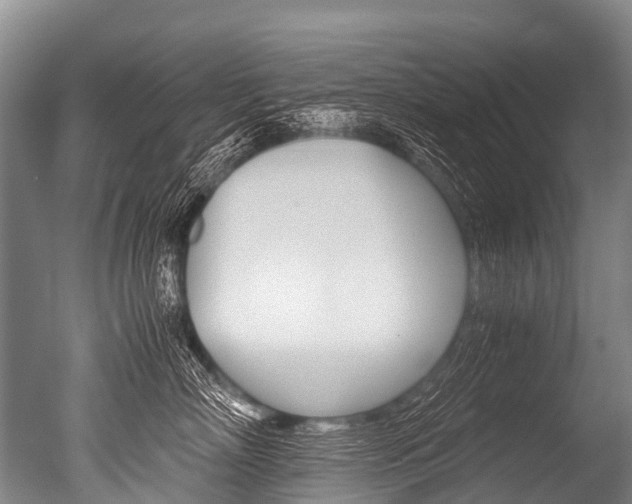 X0000051250718200506170842