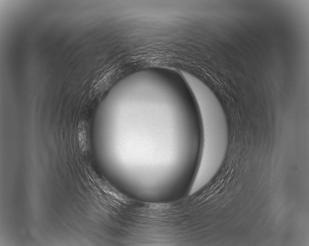 X0000051250720200506170842