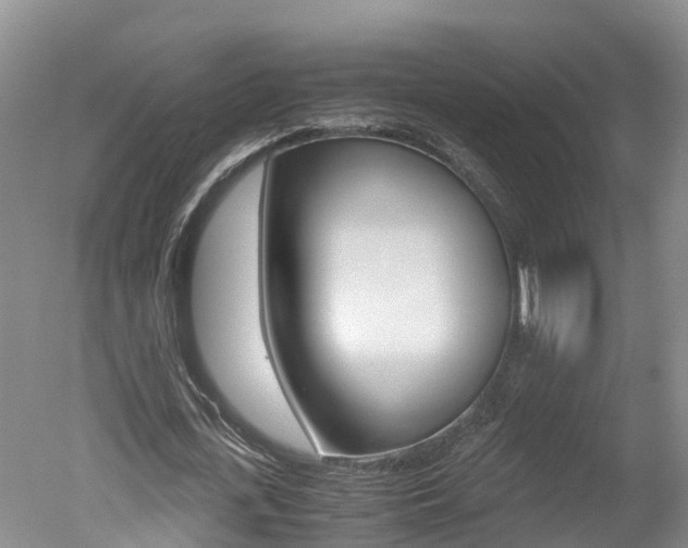 X0000051250723200506170841