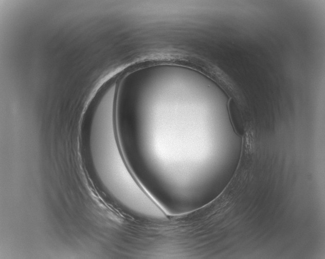 X0000051250724200506170841