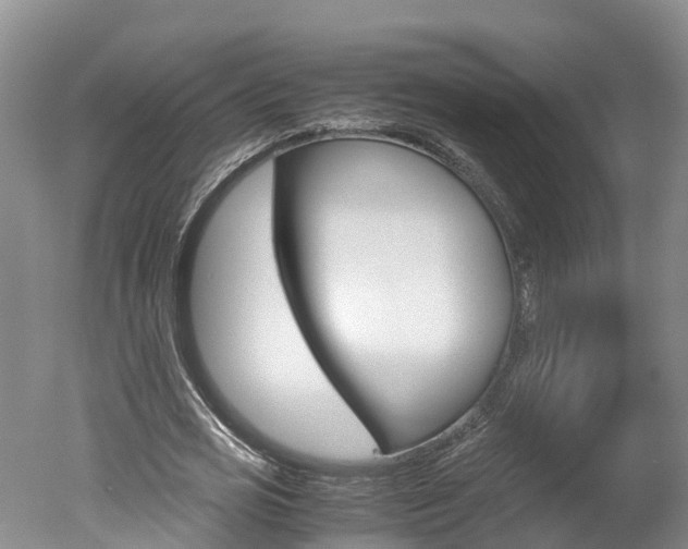 X0000051250725200506170841
