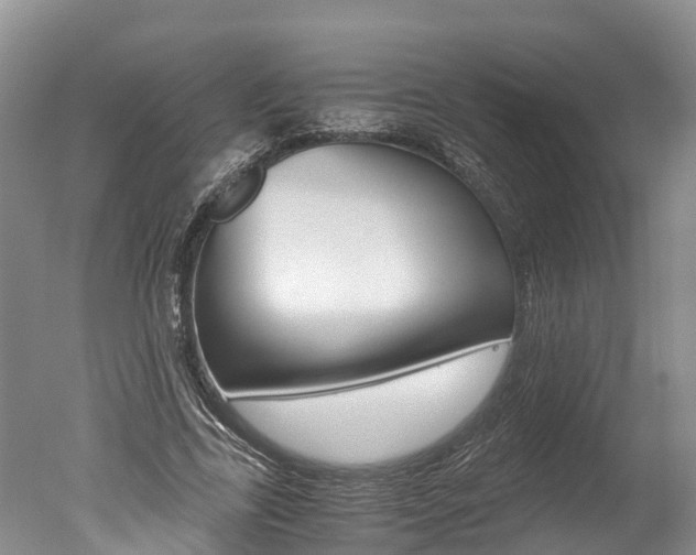 X0000051250731200506170841