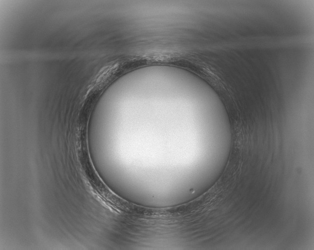 X0000051250738200506170841