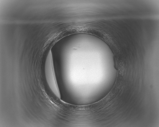 X0000051250740200506170841