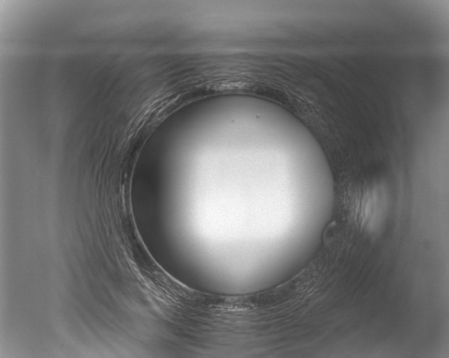 X0000051250743200506170841