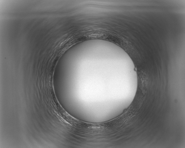 X0000051250745200506170841