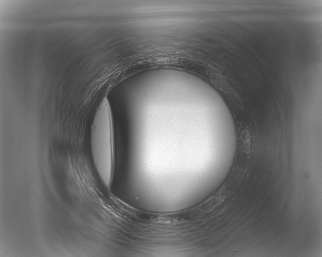 X0000051250746200506170841