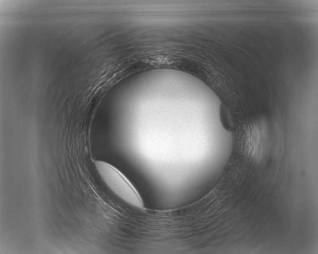 X0000051250747200506170841
