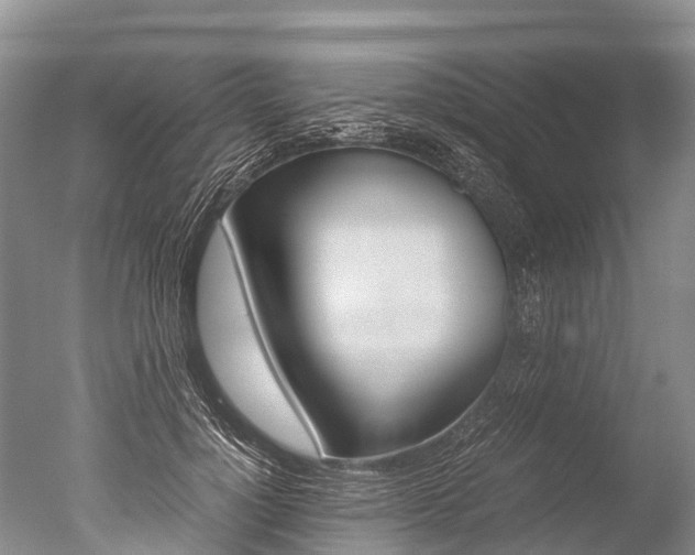 X0000051250748200506170841