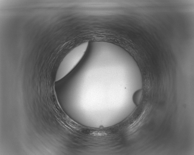 X0000051250749200506170841