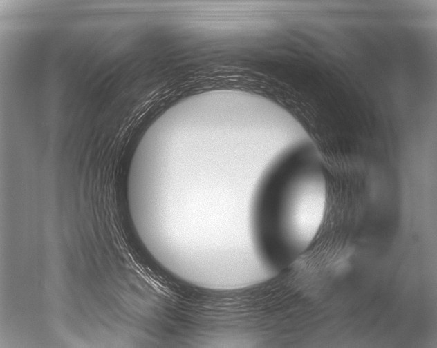 X0000051250750200506170841