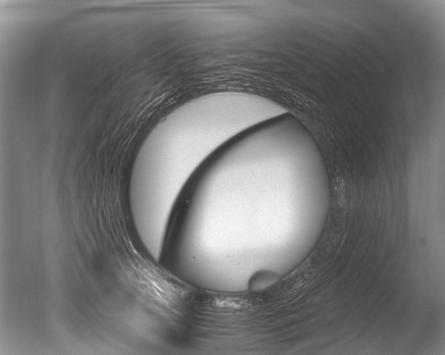 X0000051250753200506170841