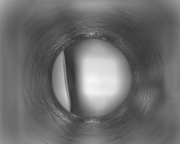 X0000051250754200506170841