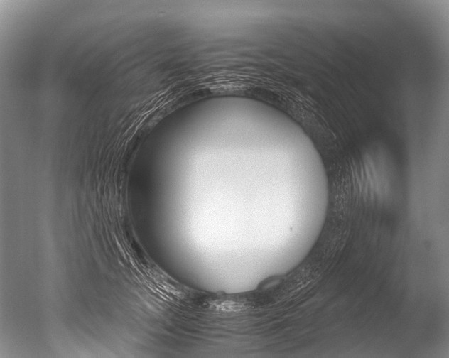 X0000051250755200506170841