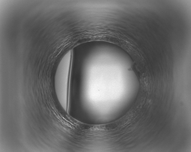 X0000051250756200506170841