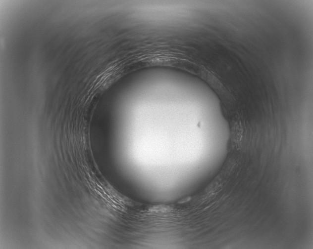 X0000051250762200506170841