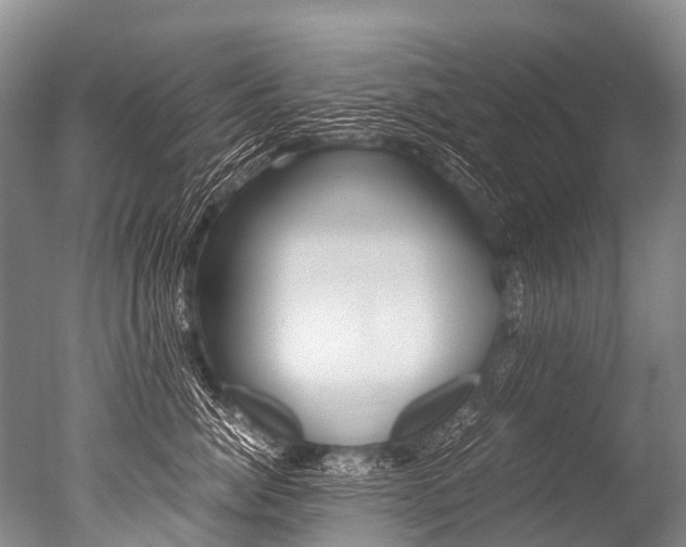 X0000051250764200506170842