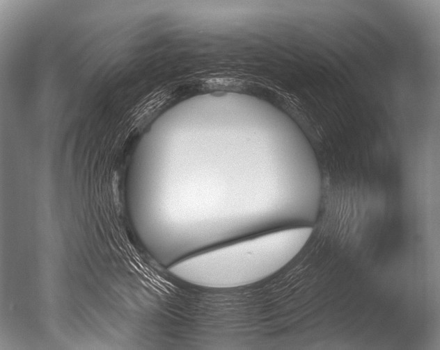 X0000051250765200506170842