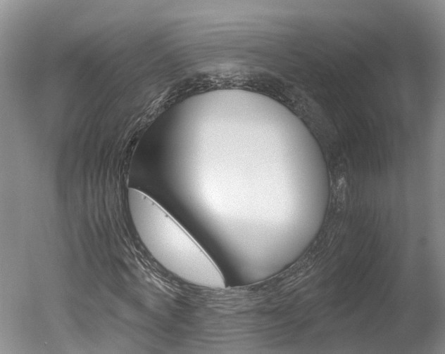 X0000051250772200506170841