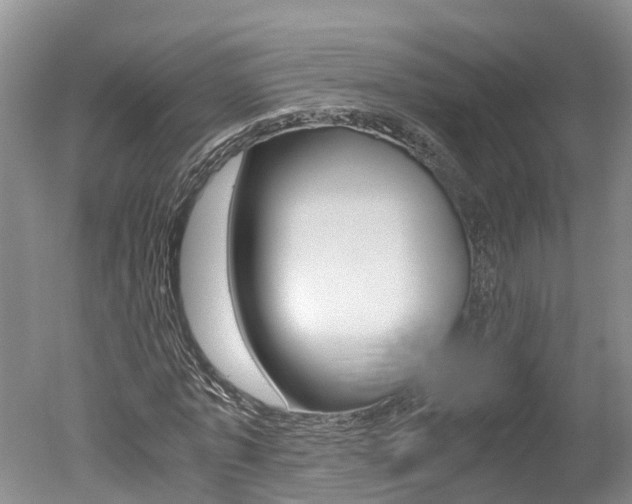 X0000051250773200506170841
