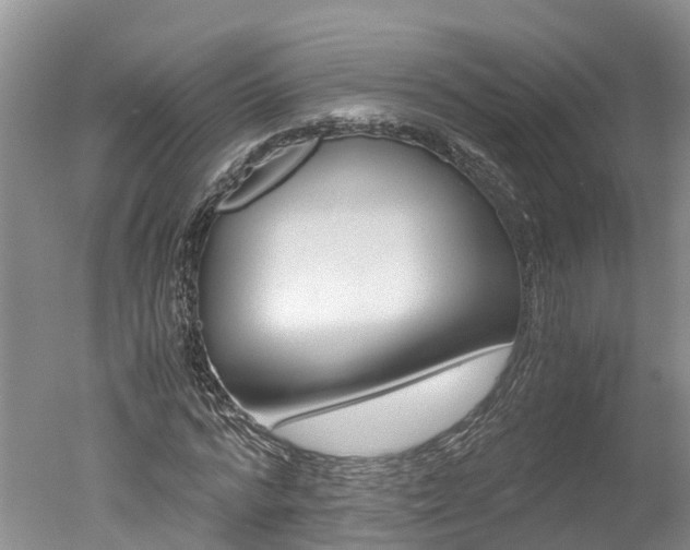 X0000051250776200506170841