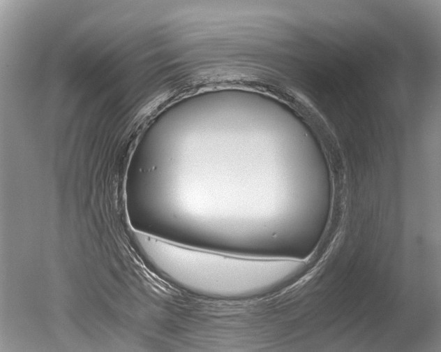 X0000051250777200506170841