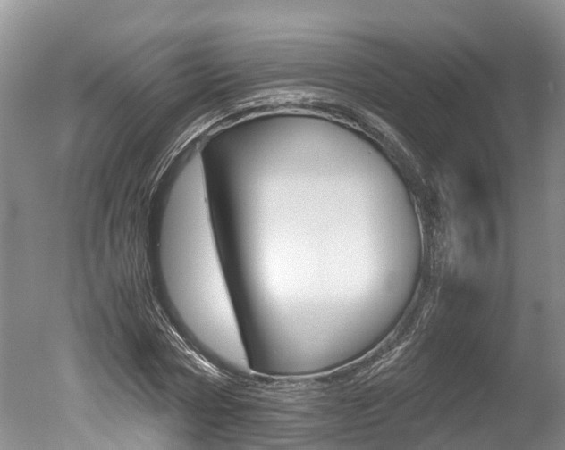 X0000051250778200506170841