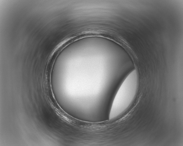 X0000051250779200506170841