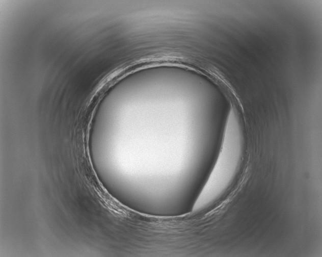 X0000051250781200506170841