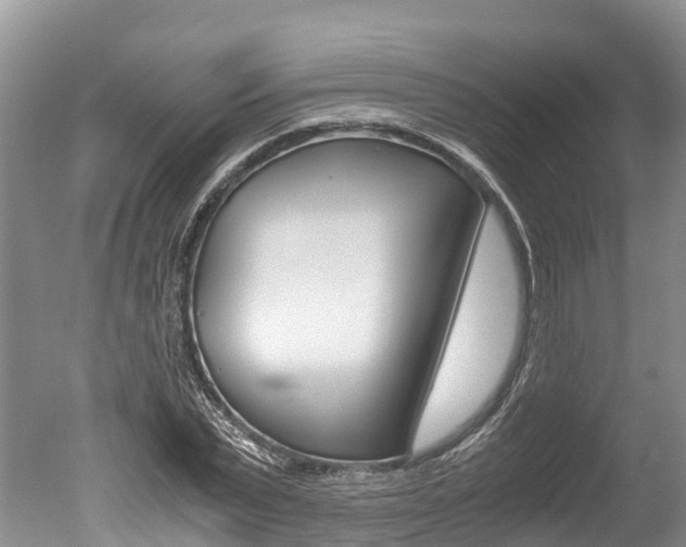 X0000051250783200506170841