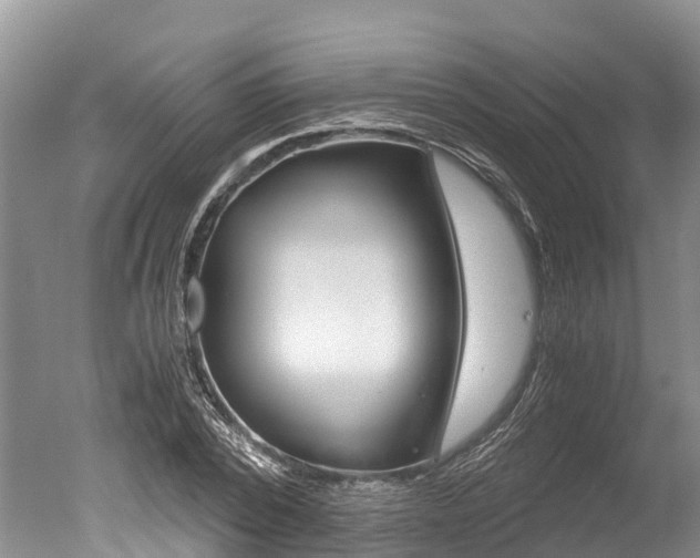 X0000051250784200506170841