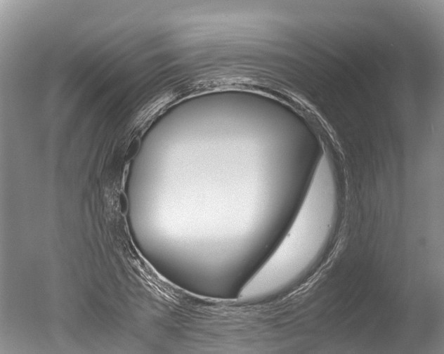 X0000051250785200506170841