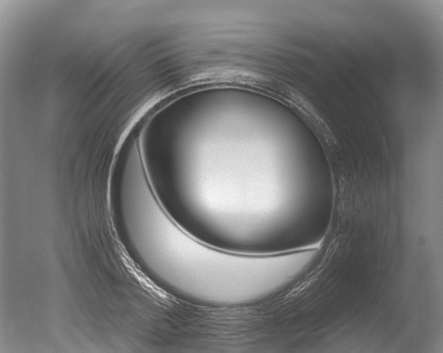 X0000051250788200506170840
